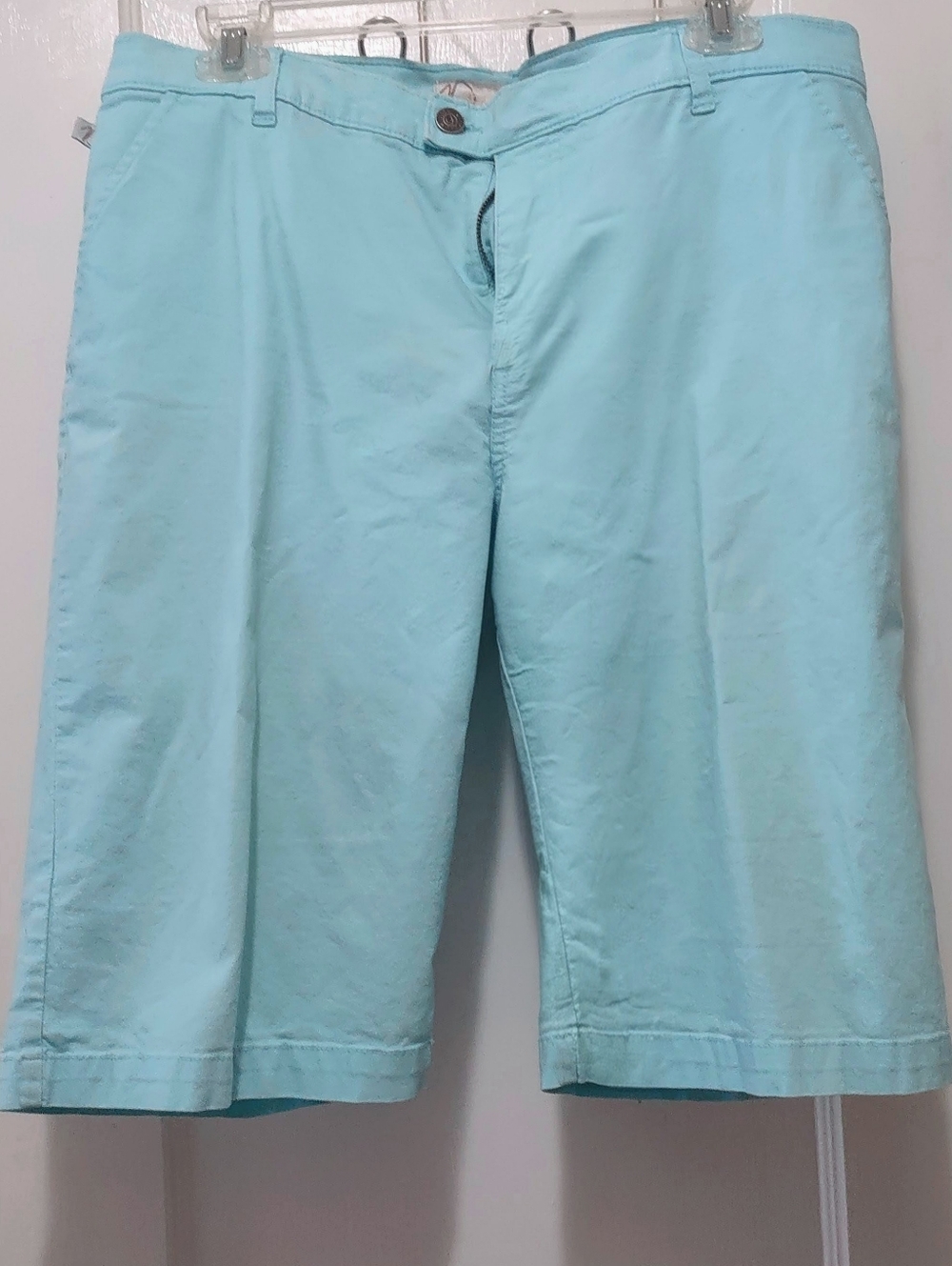 Aqua Blue Bermuda Shorts  Duplex By Tyte